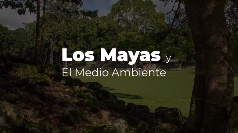 Mayas y Medio Ambiente