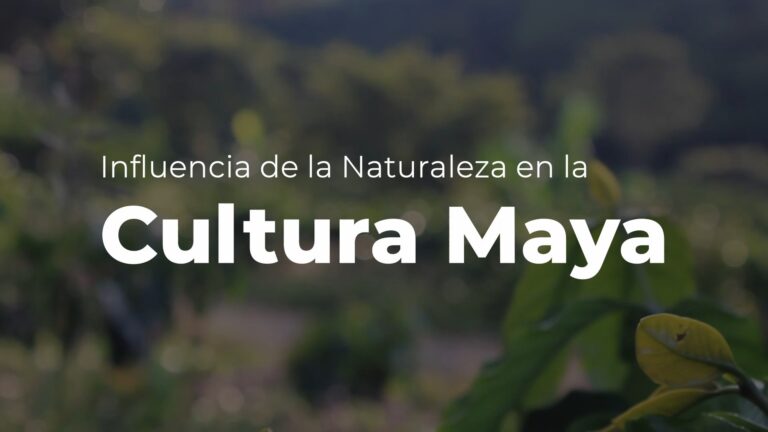 Influencia de la naturaleza en la Cultura Maya