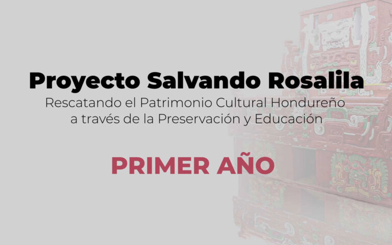 Proyecto Rosalila Informe Primer Año